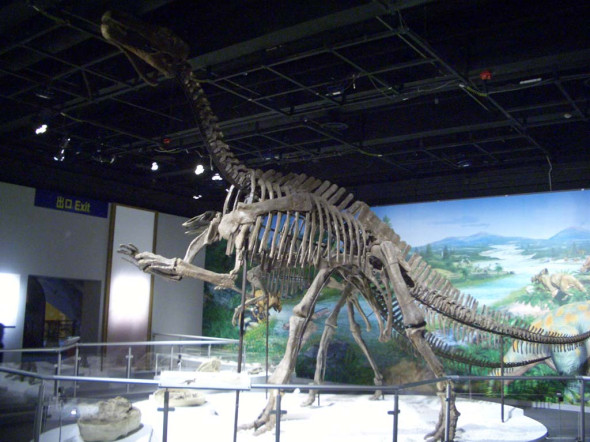 Iguanodon_skeleton