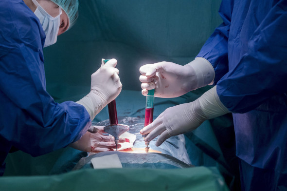 Children during stem cell transplant treatment in Budapest