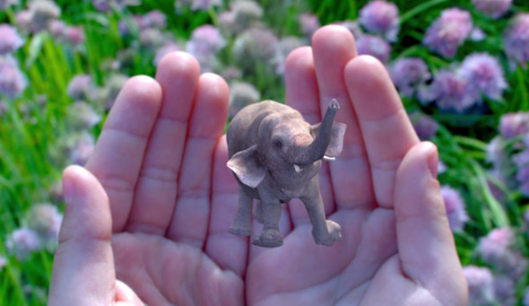 magic leap