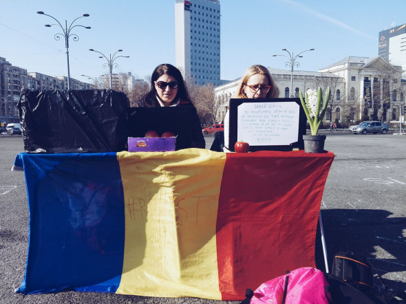 munca-protest fb irina gache