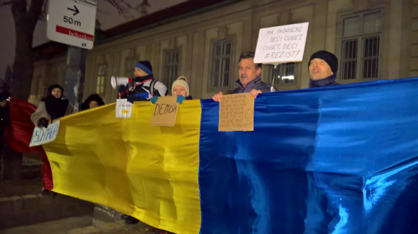 Protest Viena Andrea Radu 110217 (4)