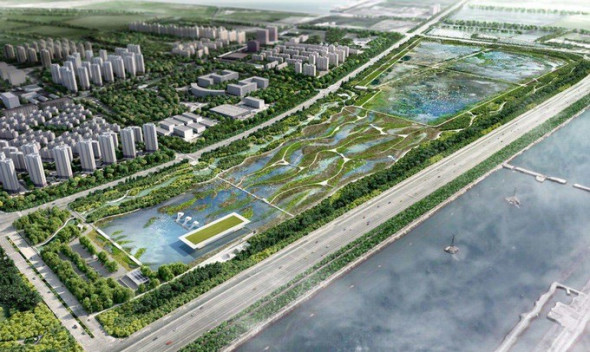 china aeroport pasari - mcgregor coxall