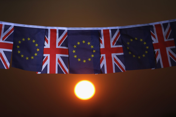 EU Referendum - Signage And Symbols