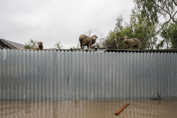 Galati_inundatii_pechea_00_INQUAM_Ovidiu_Iordachi