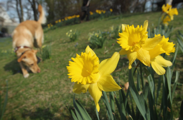 Spring Weather Reaches Germany
