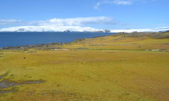 Antarctica