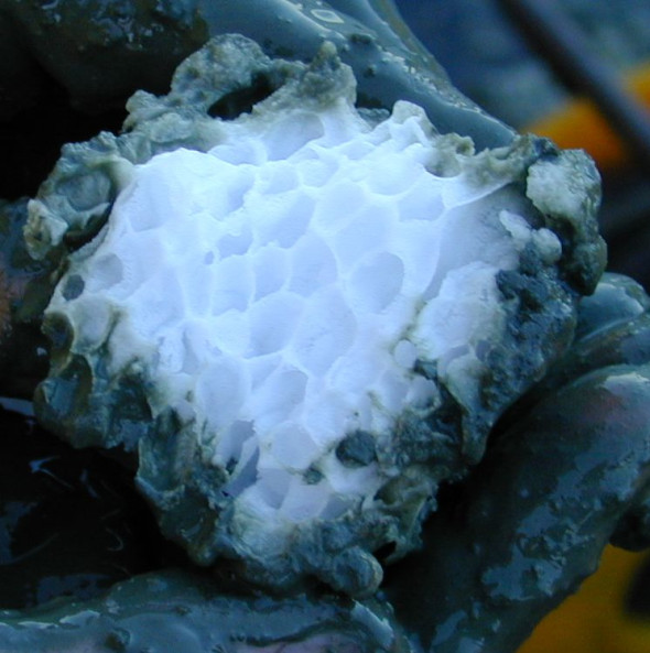 gheata inflamabila