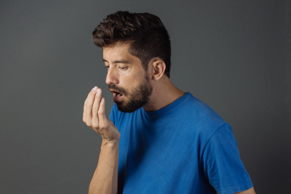 shutterstock_516461812