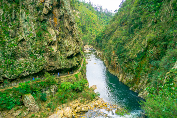 Karangahake Gorge