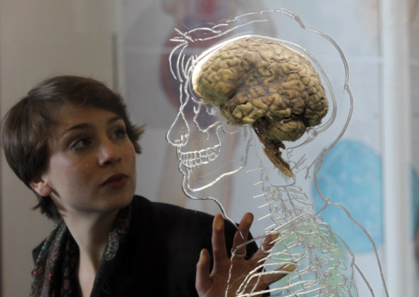 creier neurologie