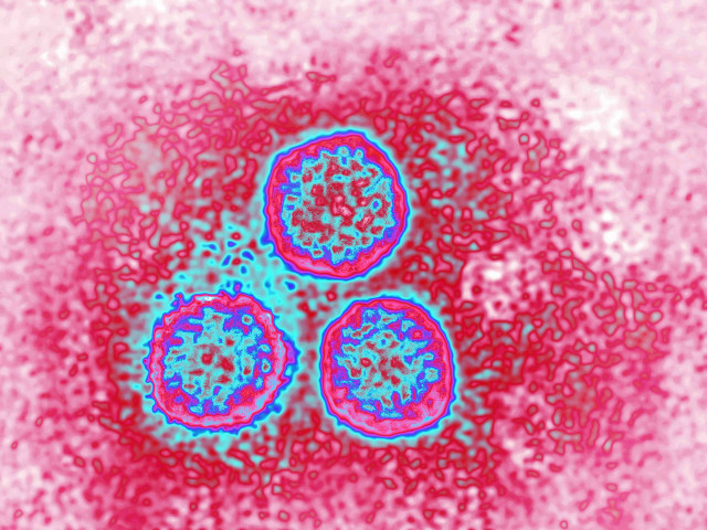 High Prevalence Of Genital HPV Infections In Men Study Reveals