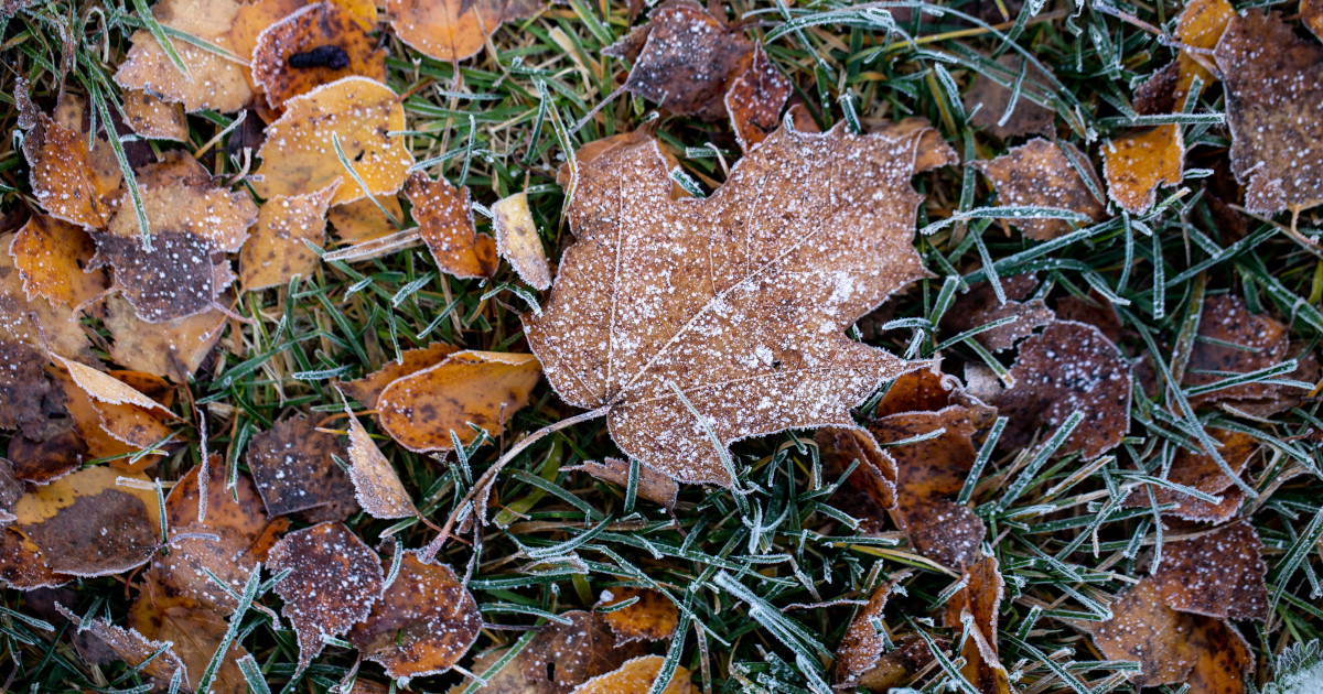 Anm Anun Dou S Pt M Ni Cu Temperaturi Mai Mici Dec T Normalul