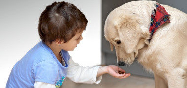 shutterstock_72449815