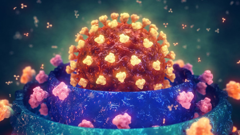 concept grafic pentru mutatii pe care le sufera coronavirusul