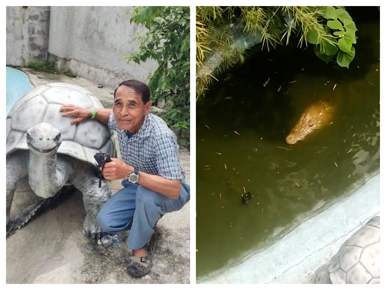 Bărbat atacat și rănit grav de un crocodil pe care l-a confundat cu o replică din plastic, într-un parc de distracții