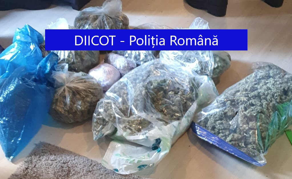 Doi clienți au mers să cumpere droguri de la un traficant în timp ce procurorii îi percheziționau casa. Unul venea direct de la DIICOT