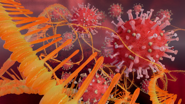 concept grafic pentru coronavirus si anticorpi formati cu tehnologia arn mesager