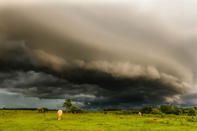 A shelf-cloud storm formation approaches the city of Glória de Dourados, Brazil - 17 Dec 2020