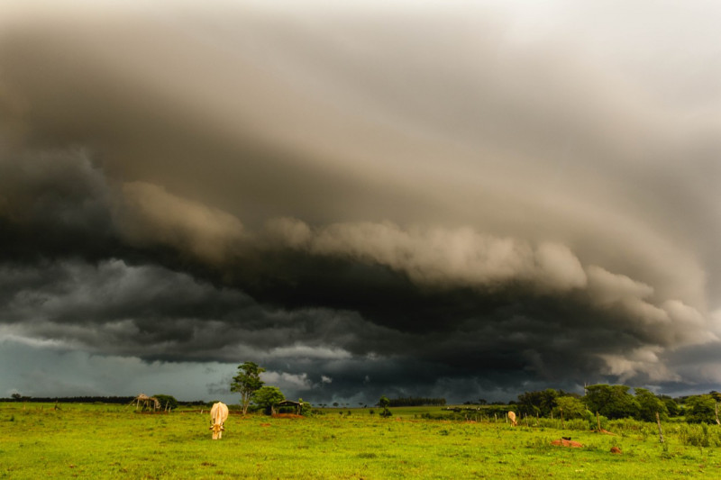 A shelf-cloud storm formation approaches the city of Glória de Dourados, Brazil - 17 Dec 2020