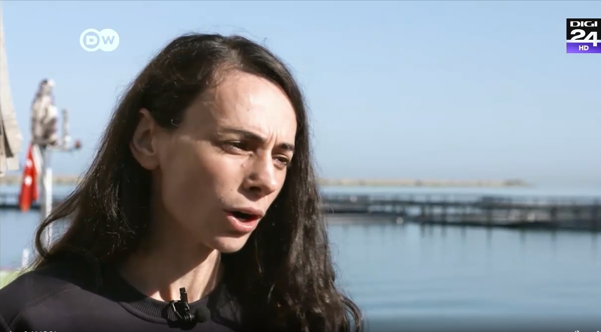 Practicile din Turcia ce pun în pericol Marea Neagră. Activistă: Folosesc cantități mari de antibiotice, dăunează întregului ecosistem