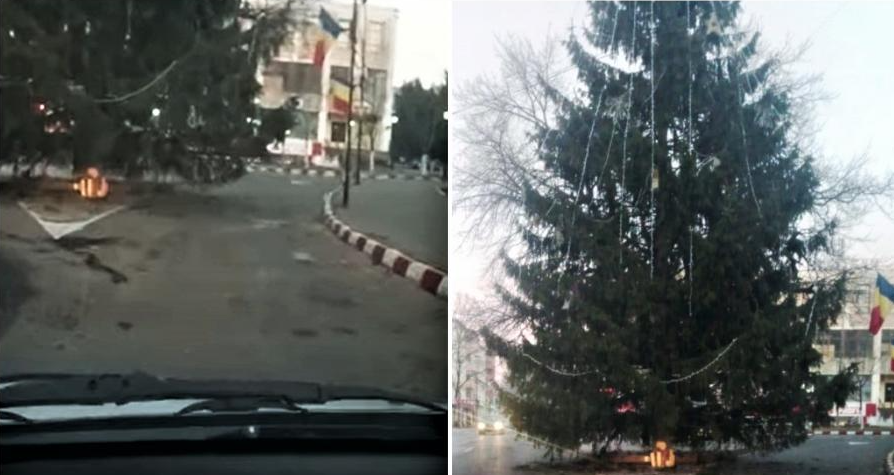 Brad de Crăciun, instalat fix în mijlocul intersecției, într-un oraș din județul Vrancea. Mașinile nu mai au destul loc să treacă