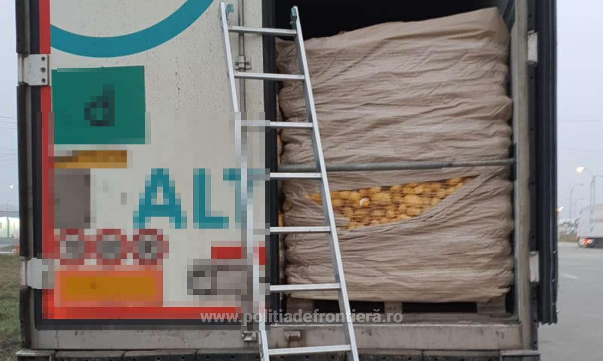Polițiștii de frontieră au găsit 15 tone de petarde și artificii ascunse într-un camion cu cartofi