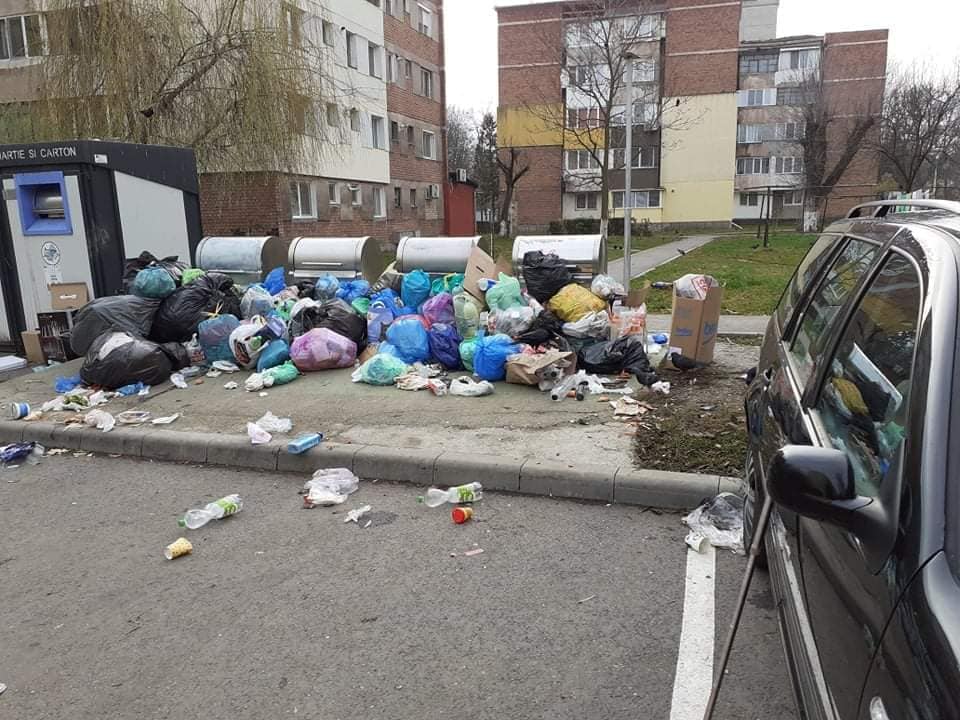 Stare de alertă în Hunedoara, unde gunoiul nu a mai fost ridicat din 4 decembrie