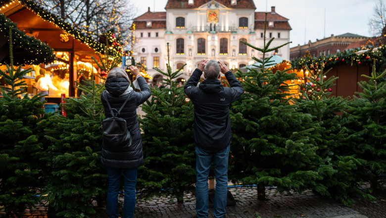 Piață de brazi de Crăciun cu turiști care fac poze