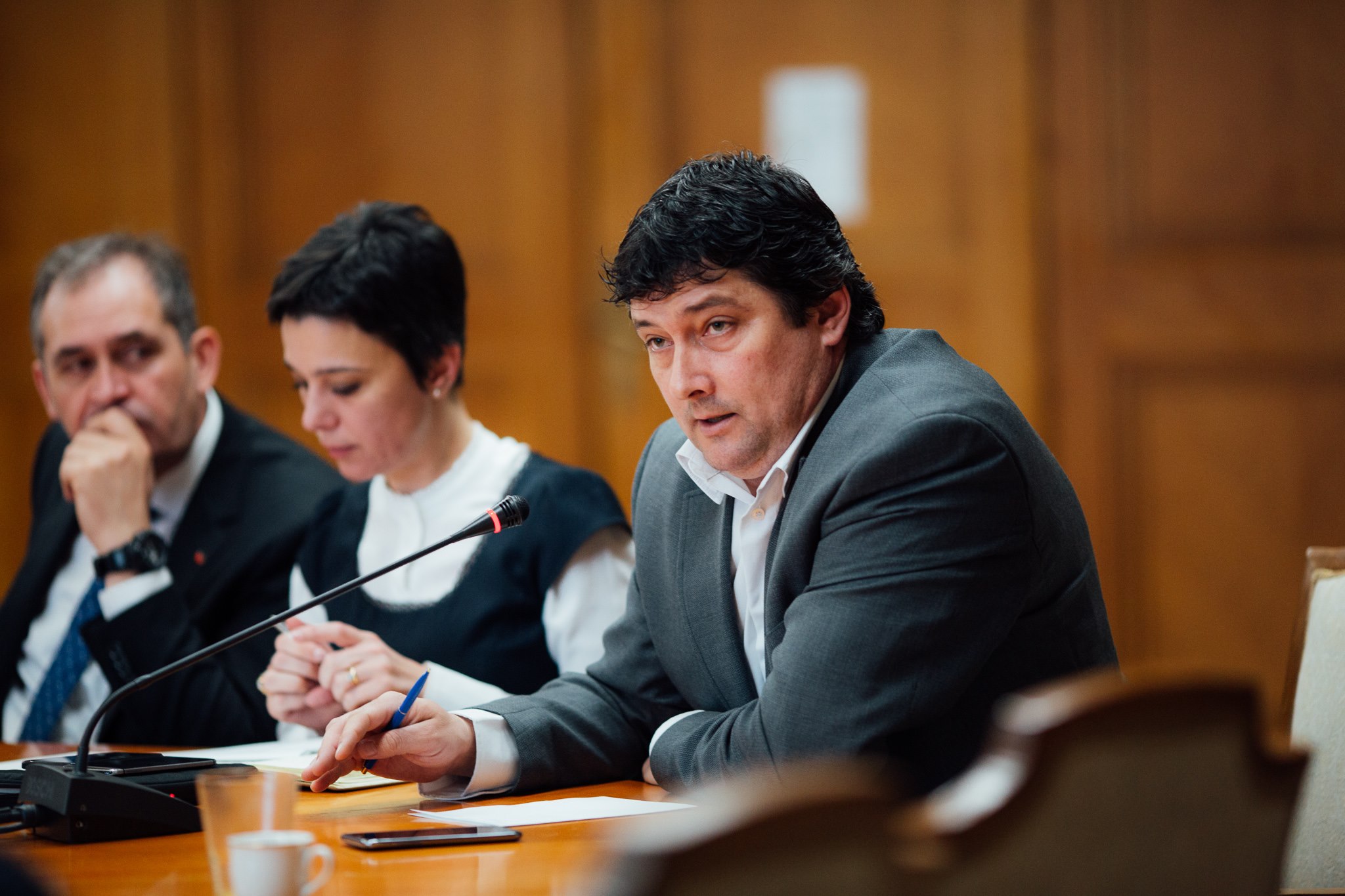 Deputat UDMR: 1 decembrie este zi de doliu pentru comunitatea maghiară din România