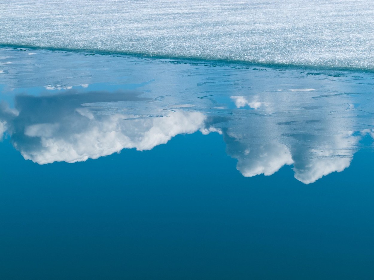 Recordul de 38 de grade Celsius din Arctica, validat de Organizaţia Meteorologică Mondială: „E un nou semnal de alarmă privind clima”