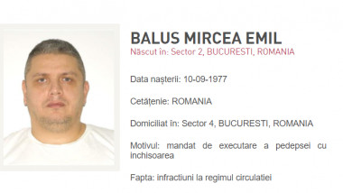 Mircea Emil Băluș, zis Mircea Nebunu, liderul Clanului Sportivilor