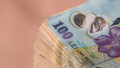 teanc de bancnote lei