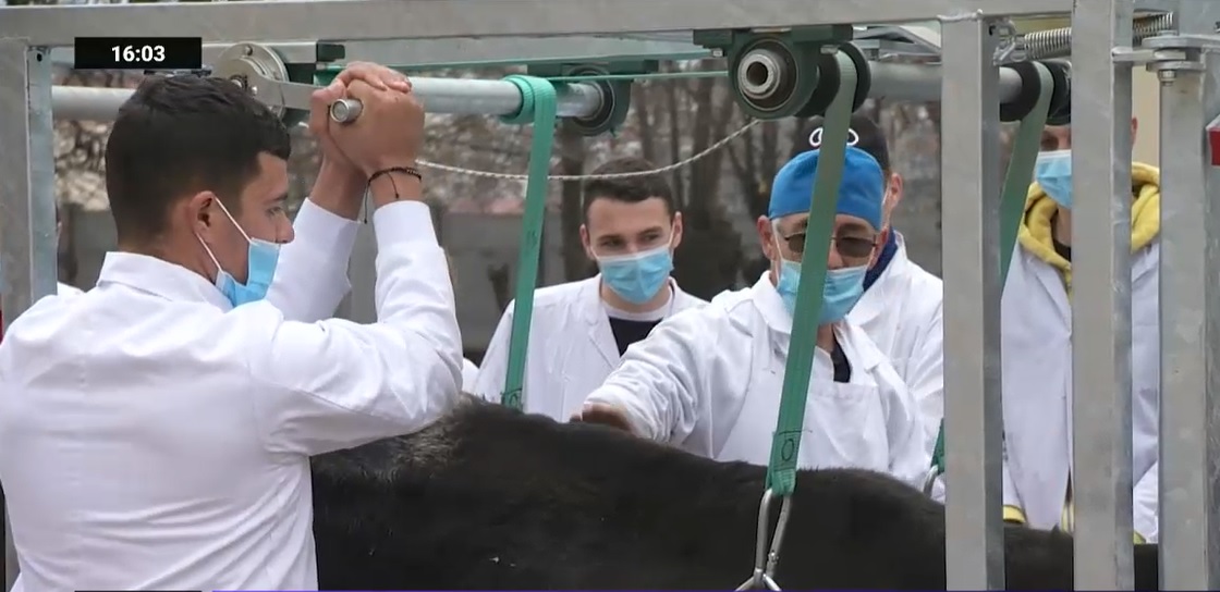 Cum arată singura fermă didactică certificată ecologic din România