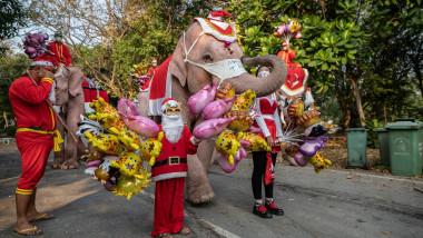 Mai mulţi elefanţi din Thailanda, purtând pălării de Moş Crăciun şi măşti sanitare, au împărţit elevilor cadouri.