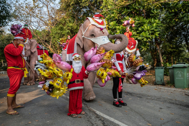 Elephant Santas Deliver Presents To Schoolchildren