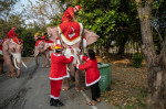Elephant Santas Deliver Presents To Schoolchildren