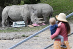 Christmas Treats At Orana Wildlife Park, Christchurch, New Zealand - 24 Dec 2021