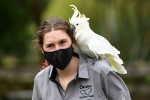 Christmas Treats At Orana Wildlife Park, Christchurch, New Zealand - 24 Dec 2021