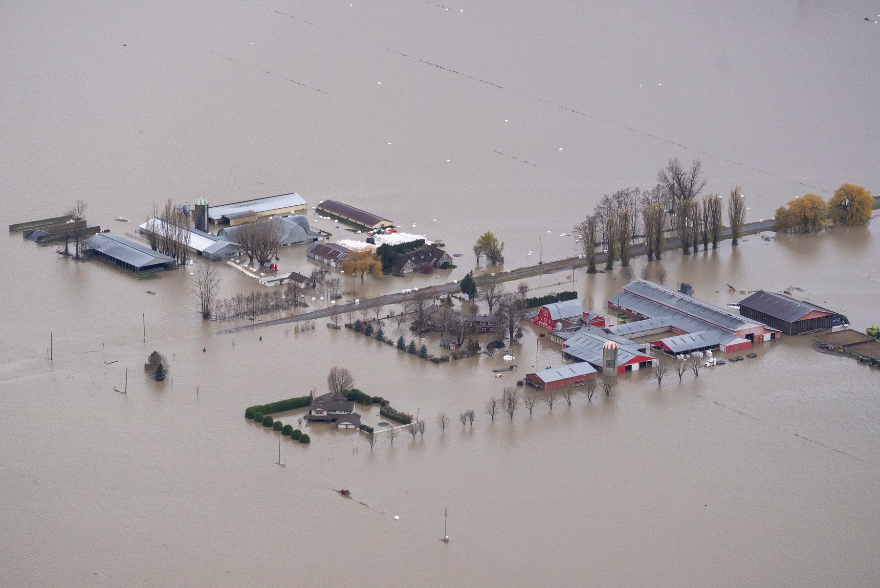 Dezastrele meteo din 2021 au lăsat milioane de oameni fără case și au provocat pagube de sute de miliarde de dolari