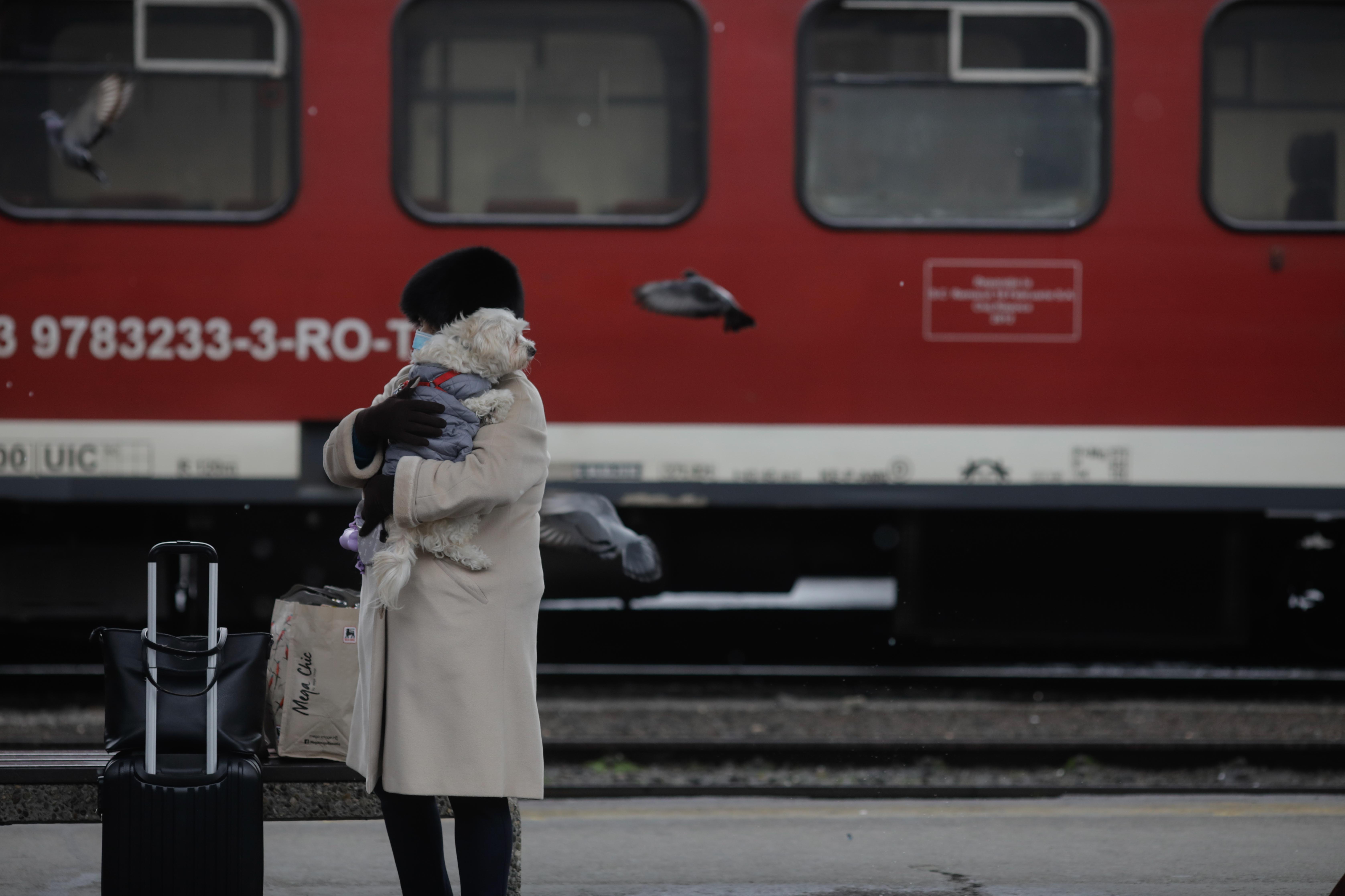 Trenuri cu întârzieri între 90 și 250 de minute între Filiaşi și Gura Motrului, din cauza unor copaci căzuţi