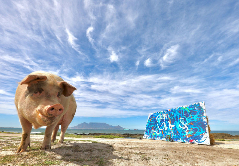 PIG'S ABSTRACT ARTWORK SELLS FOR A WORLD RECORD £20K