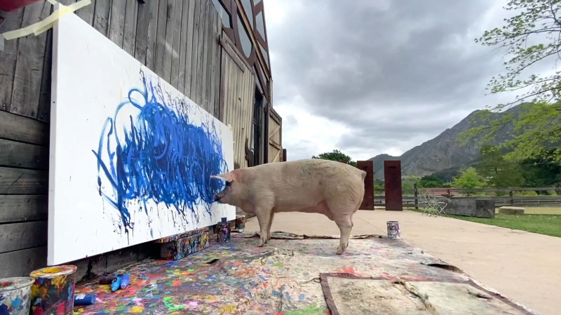 PIG'S ABSTRACT ARTWORK SELLS FOR A WORLD RECORD £20K