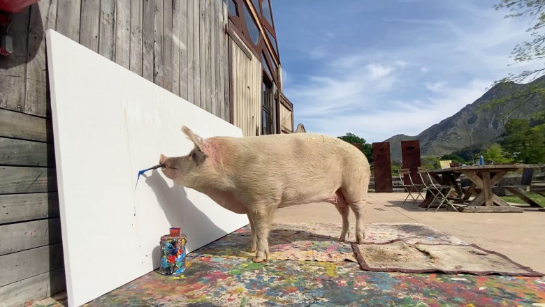 PIG'S ABSTRACT ARTWORK SELLS FOR A WORLD RECORD £20K