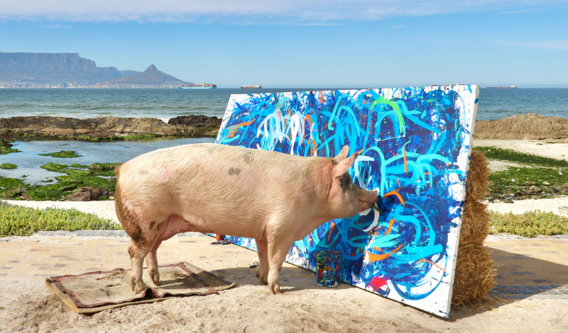 PIG'S ABSTRACT ARTWORK SELLS FOR A WORLD RECORD £20K