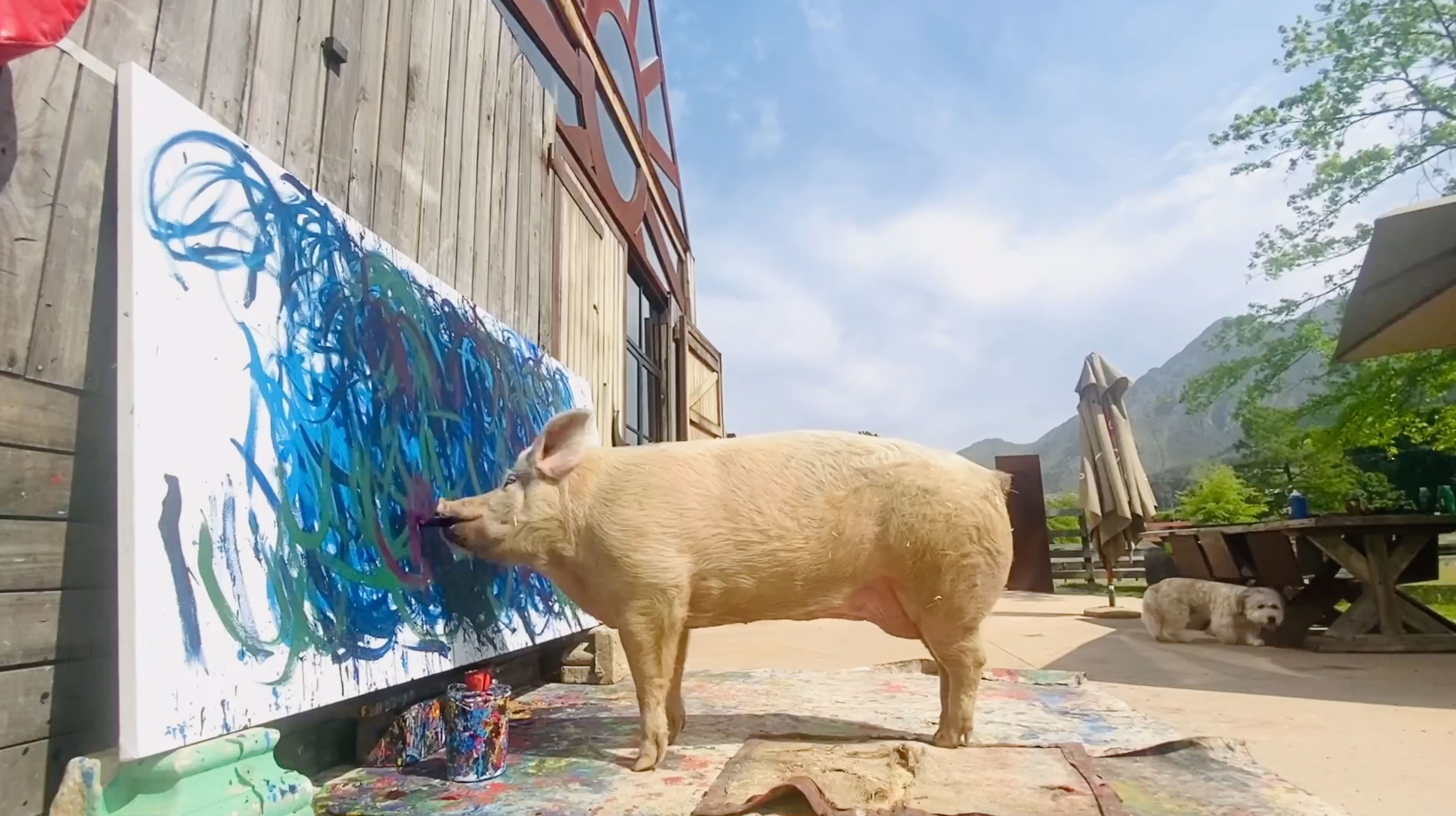 PIG'S ABSTRACT ARTWORK SELLS FOR A WORLD RECORD £20K