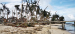 filipine taifun profimedia
