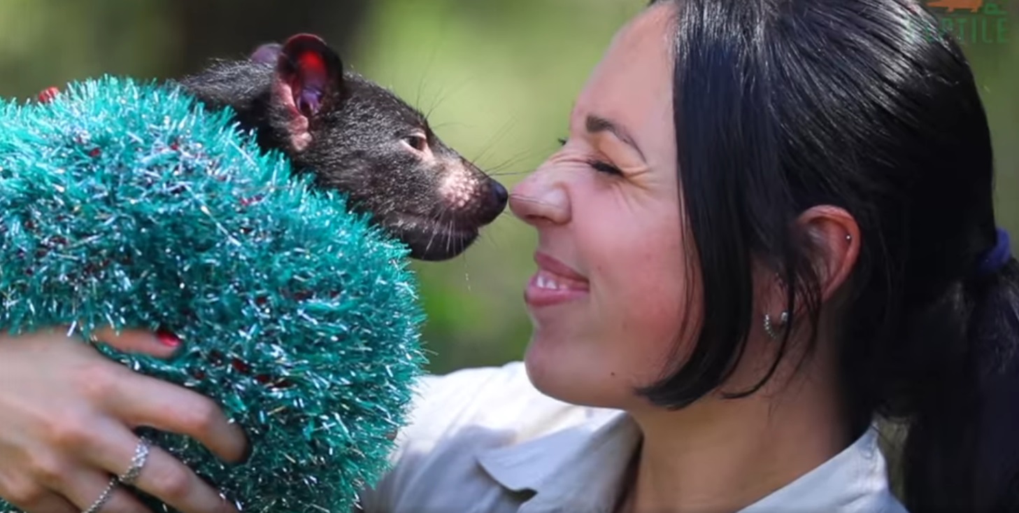 Primul Crăciun pentru puii de animale de la o Grădină Zoologică din Australia. Imaginile care au sensibilizat întreaga lume