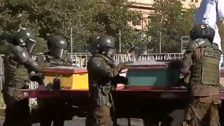 Apicultorii din Chile au venit cu stupii la protest. Mai mulți polițiști au fost înțepați de albine
