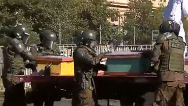 Apicultorii din Chile au venit cu stupii la protest. Mai mulți polițiști au fost înțepați de albine