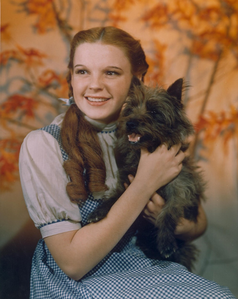 Judy Garland în rolul lui Dorothy în filmul Vrăjitorul din Oz